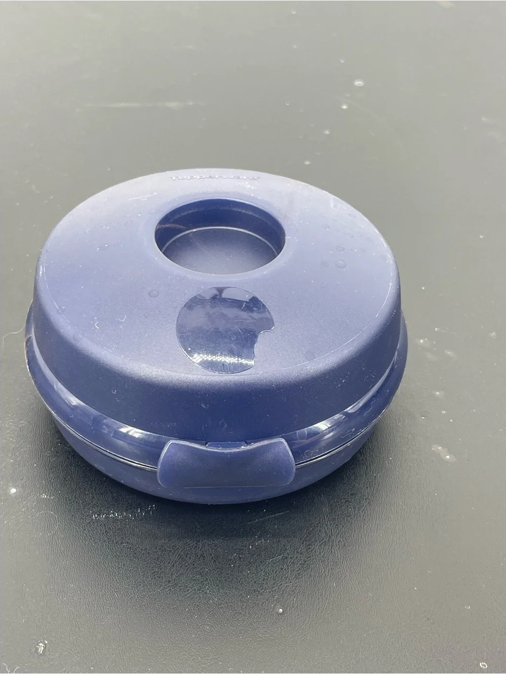 Tupperware Round Navy Bagel Container